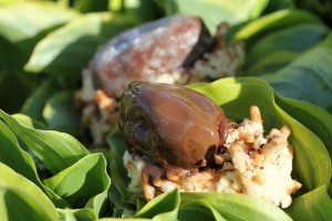 A chocolate Easter egg waits to be discovered among the leaves