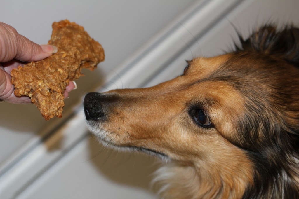 baked dog bone treat